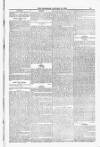 Blandford and Wimborne Telegram Friday 30 January 1885 Page 13