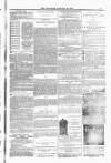 Blandford and Wimborne Telegram Friday 30 January 1885 Page 15