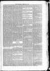 Blandford and Wimborne Telegram Friday 06 February 1885 Page 5