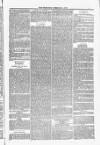Blandford and Wimborne Telegram Friday 06 February 1885 Page 7