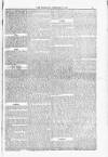 Blandford and Wimborne Telegram Friday 06 February 1885 Page 13