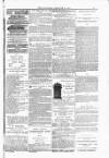 Blandford and Wimborne Telegram Friday 06 February 1885 Page 15