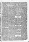 Blandford and Wimborne Telegram Friday 13 February 1885 Page 5