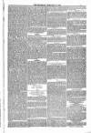 Blandford and Wimborne Telegram Friday 13 February 1885 Page 7