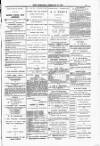 Blandford and Wimborne Telegram Friday 13 February 1885 Page 11