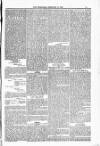 Blandford and Wimborne Telegram Friday 13 February 1885 Page 13