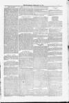 Blandford and Wimborne Telegram Friday 20 February 1885 Page 7