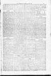 Blandford and Wimborne Telegram Friday 20 February 1885 Page 13