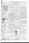 Blandford and Wimborne Telegram Friday 20 February 1885 Page 15