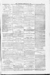 Blandford and Wimborne Telegram Friday 27 February 1885 Page 3