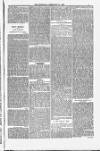 Blandford and Wimborne Telegram Friday 27 February 1885 Page 5