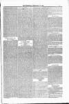 Blandford and Wimborne Telegram Friday 27 February 1885 Page 7