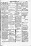 Blandford and Wimborne Telegram Friday 27 February 1885 Page 9