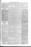 Blandford and Wimborne Telegram Friday 27 February 1885 Page 13