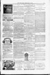 Blandford and Wimborne Telegram Friday 27 February 1885 Page 15