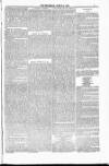 Blandford and Wimborne Telegram Friday 06 March 1885 Page 7