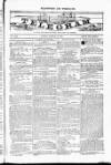 Blandford and Wimborne Telegram Friday 13 March 1885 Page 1