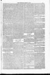Blandford and Wimborne Telegram Friday 13 March 1885 Page 5