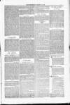 Blandford and Wimborne Telegram Friday 13 March 1885 Page 7
