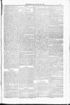 Blandford and Wimborne Telegram Friday 13 March 1885 Page 13