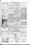 Blandford and Wimborne Telegram Friday 13 March 1885 Page 15