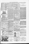 Blandford and Wimborne Telegram Friday 20 March 1885 Page 15