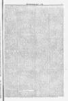 Blandford and Wimborne Telegram Friday 01 May 1885 Page 5