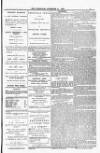 Blandford and Wimborne Telegram Friday 11 December 1885 Page 5