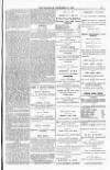 Blandford and Wimborne Telegram Friday 18 December 1885 Page 13