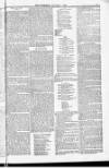 Blandford and Wimborne Telegram Friday 01 January 1886 Page 3