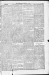 Blandford and Wimborne Telegram Friday 01 January 1886 Page 13