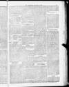 Blandford and Wimborne Telegram Friday 15 January 1886 Page 13