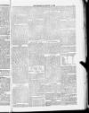 Blandford and Wimborne Telegram Friday 29 January 1886 Page 7