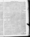 Blandford and Wimborne Telegram Friday 29 January 1886 Page 13