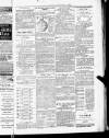 Blandford and Wimborne Telegram Friday 05 February 1886 Page 15