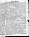 Blandford and Wimborne Telegram Friday 19 February 1886 Page 7