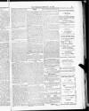 Blandford and Wimborne Telegram Friday 26 February 1886 Page 13