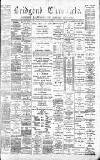 Bridgend Chronicle, Cowbridge, Llantrisant, and Maesteg Advertiser Friday 11 June 1880 Page 1