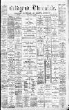 Bridgend Chronicle, Cowbridge, Llantrisant, and Maesteg Advertiser Friday 18 June 1880 Page 1