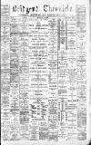Bridgend Chronicle, Cowbridge, Llantrisant, and Maesteg Advertiser Friday 09 July 1880 Page 1