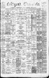 Bridgend Chronicle, Cowbridge, Llantrisant, and Maesteg Advertiser Friday 06 August 1880 Page 1