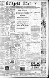Bridgend Chronicle, Cowbridge, Llantrisant, and Maesteg Advertiser Friday 30 March 1883 Page 1