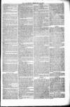 Bridport, Beaminster, and Lyme Regis Telegram Friday 16 February 1877 Page 5