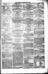 Bridport, Beaminster, and Lyme Regis Telegram Friday 16 February 1877 Page 7