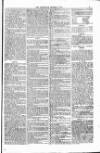 Bridport, Beaminster, and Lyme Regis Telegram Friday 09 March 1877 Page 5