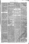 Bridport, Beaminster, and Lyme Regis Telegram Friday 13 April 1877 Page 3