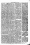 Bridport, Beaminster, and Lyme Regis Telegram Friday 13 April 1877 Page 5