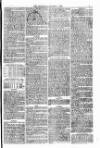 Bridport, Beaminster, and Lyme Regis Telegram Friday 17 August 1877 Page 5