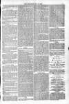 Bridport, Beaminster, and Lyme Regis Telegram Friday 10 May 1878 Page 7