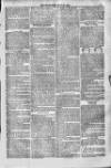 Bridport, Beaminster, and Lyme Regis Telegram Friday 12 July 1878 Page 7